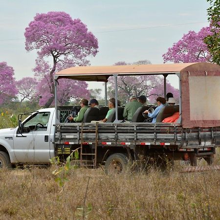 Pixaim Southwild Pantanal Lodge מראה חיצוני תמונה