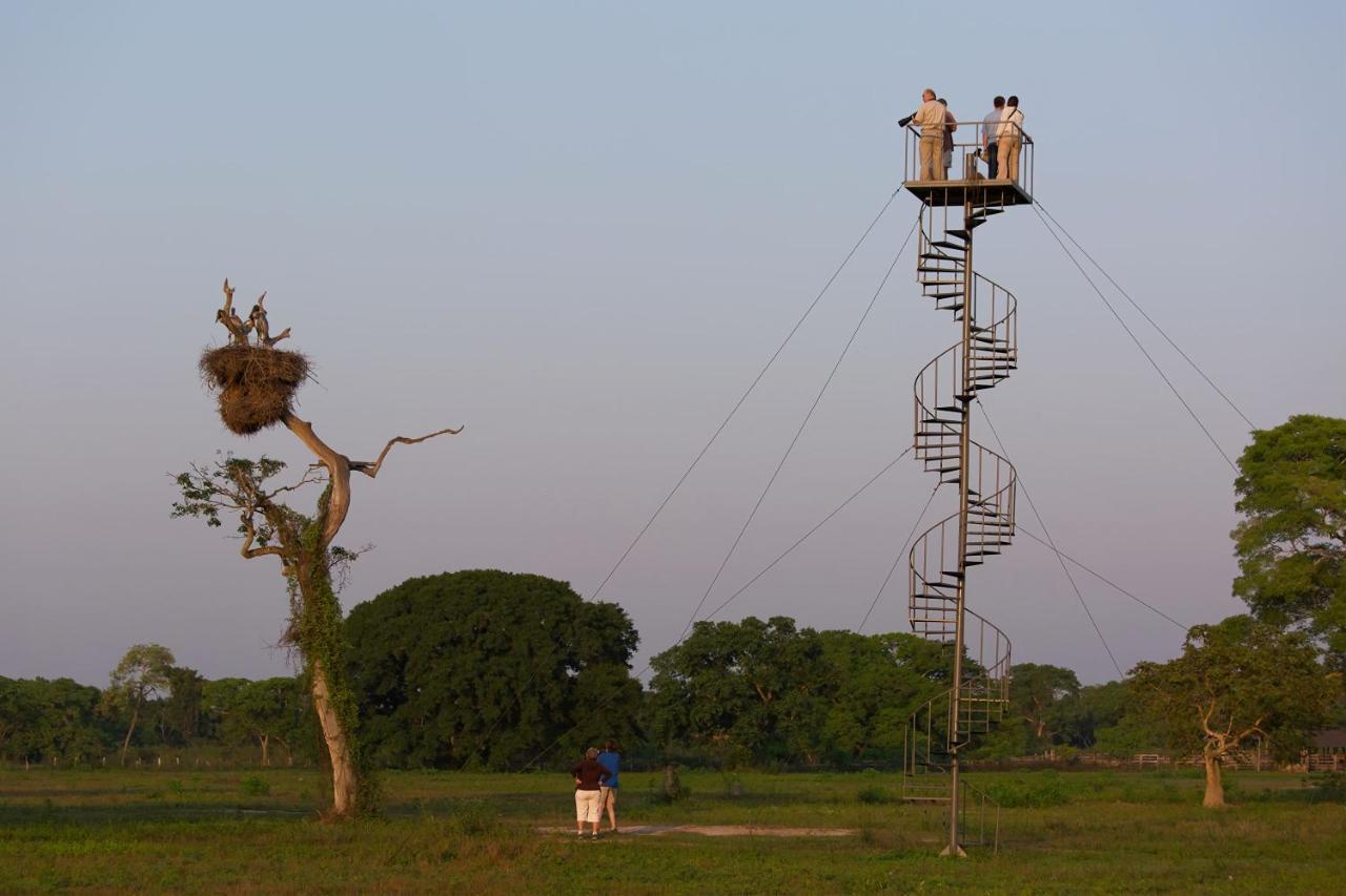 Pixaim Southwild Pantanal Lodge מראה חיצוני תמונה