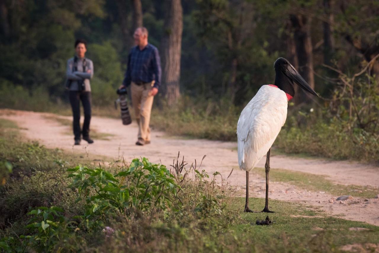 Pixaim Southwild Pantanal Lodge מראה חיצוני תמונה