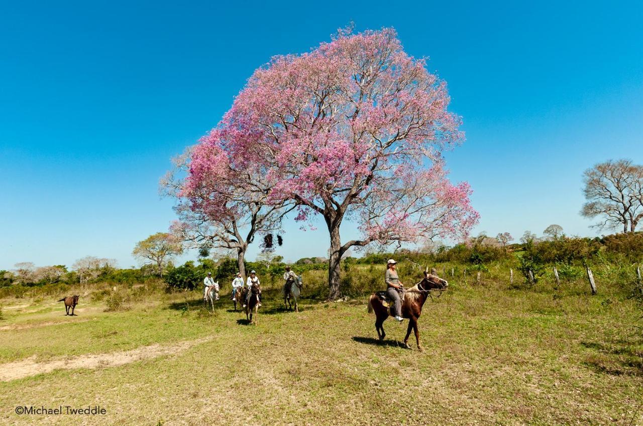 Pixaim Southwild Pantanal Lodge מראה חיצוני תמונה