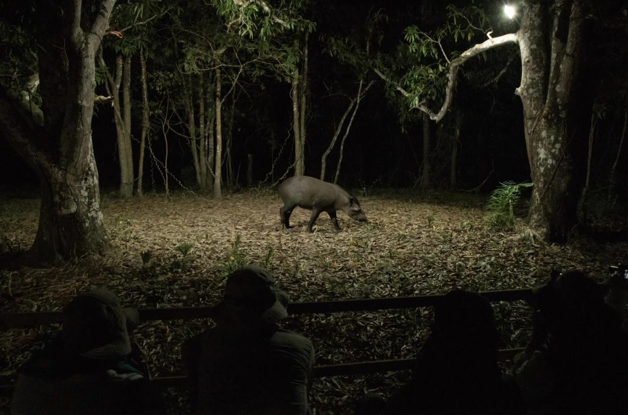 Pixaim Southwild Pantanal Lodge מראה חיצוני תמונה