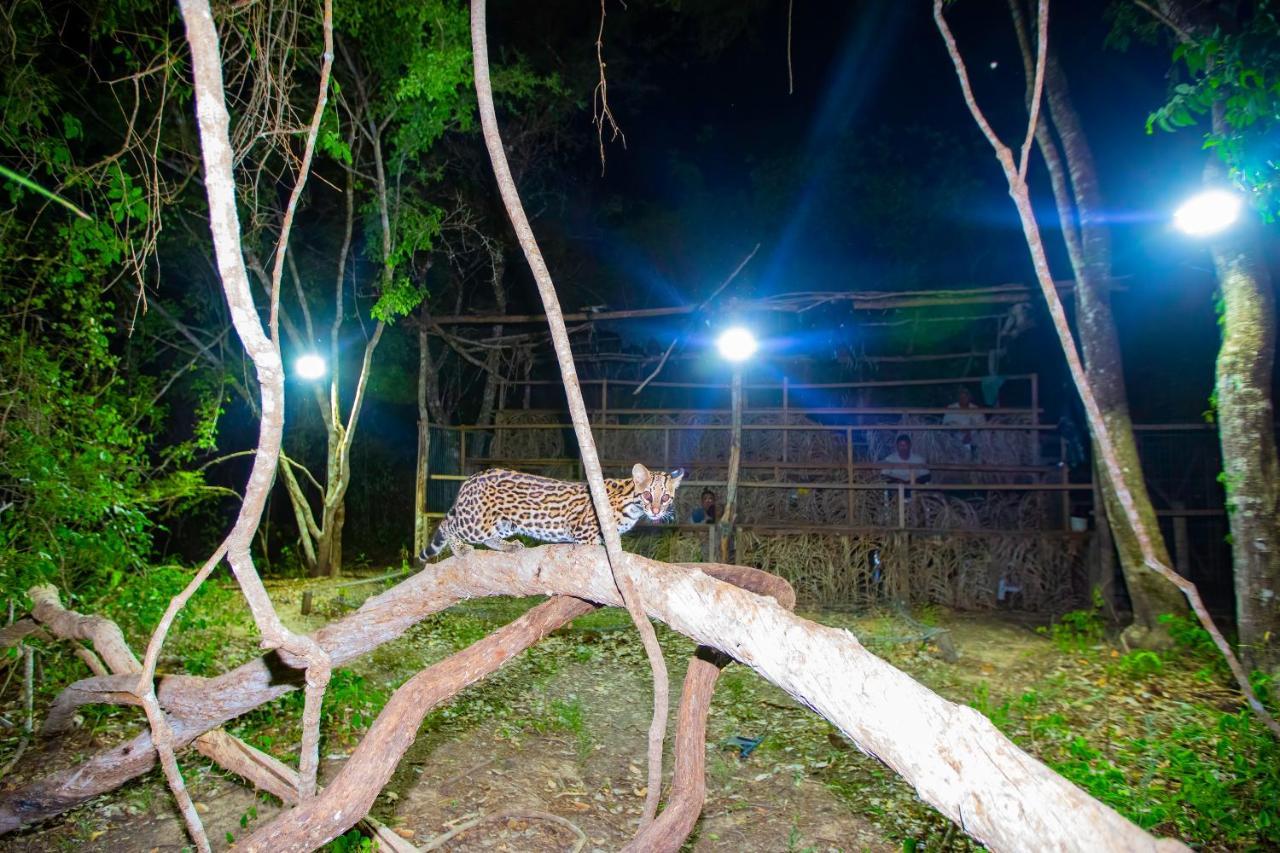 Pixaim Southwild Pantanal Lodge מראה חיצוני תמונה