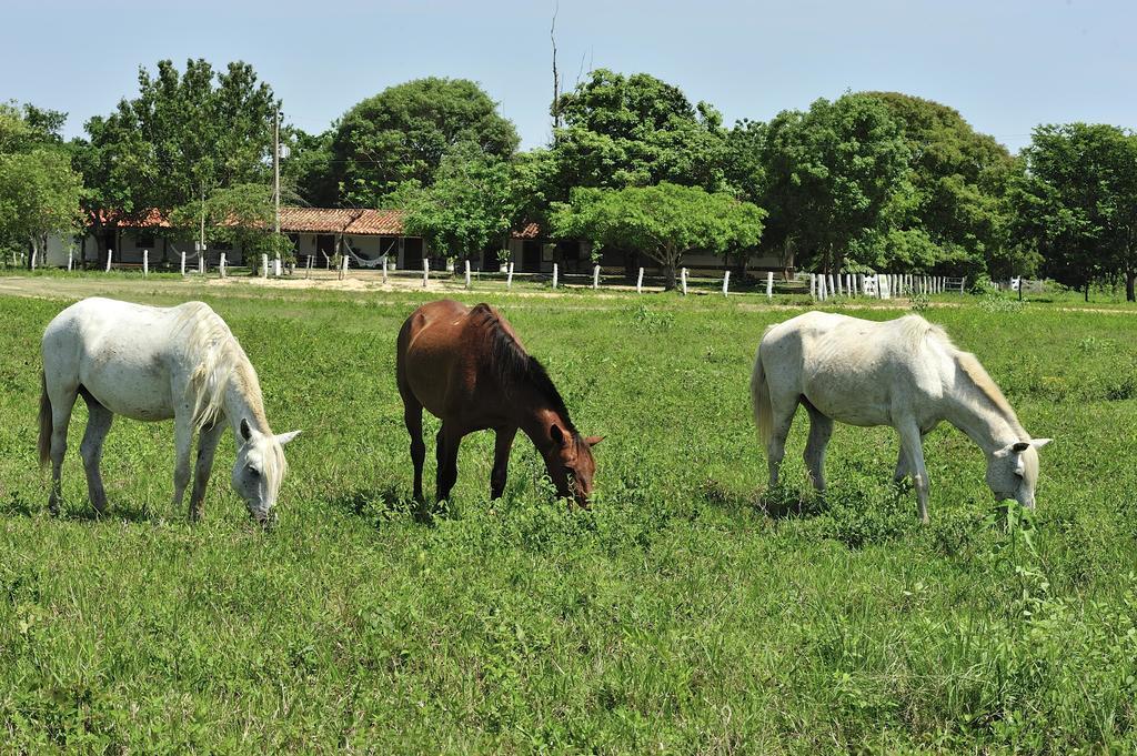 Pixaim Southwild Pantanal Lodge מראה חיצוני תמונה