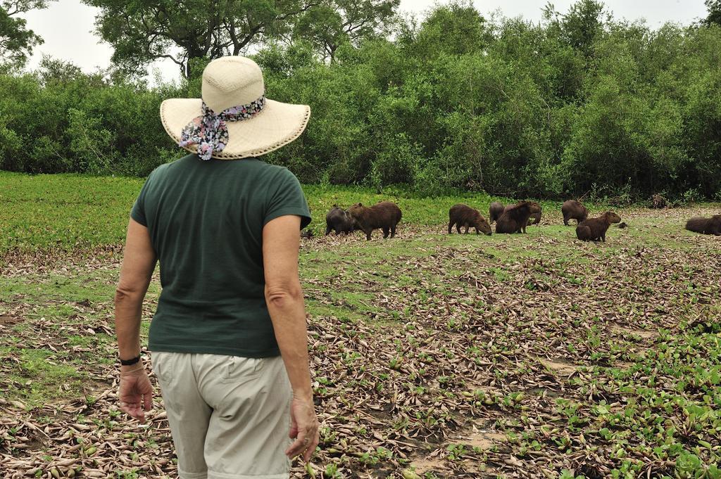 Pixaim Southwild Pantanal Lodge מראה חיצוני תמונה