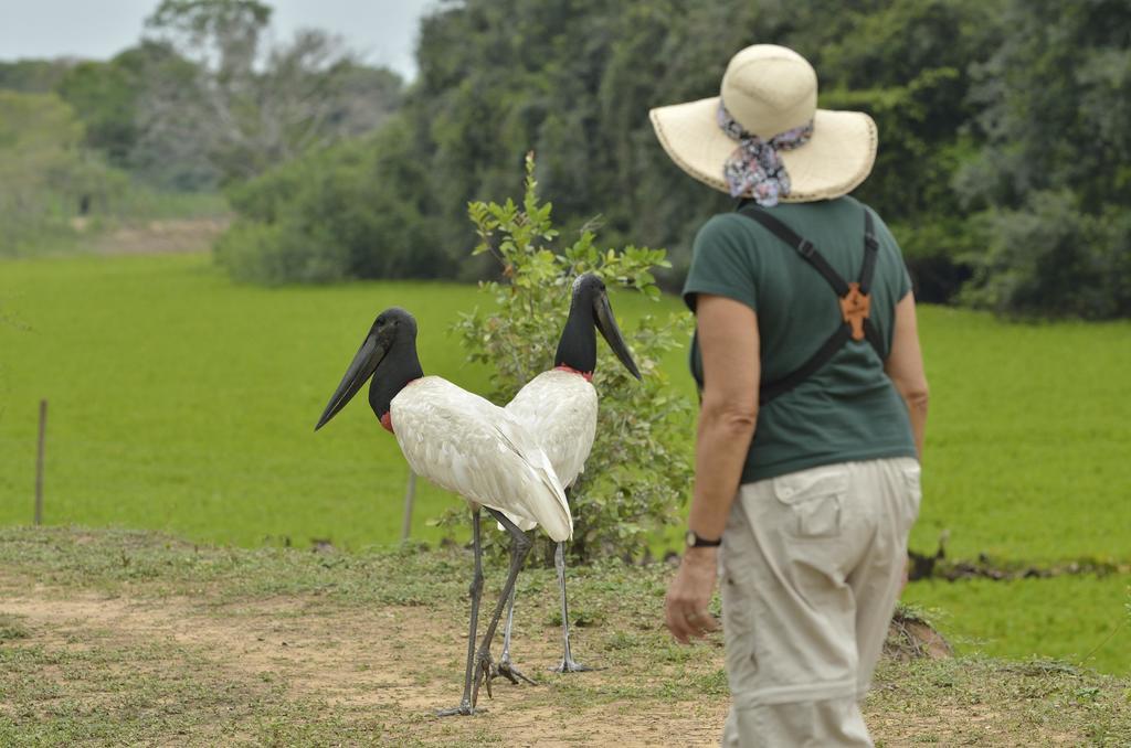 Pixaim Southwild Pantanal Lodge מראה חיצוני תמונה