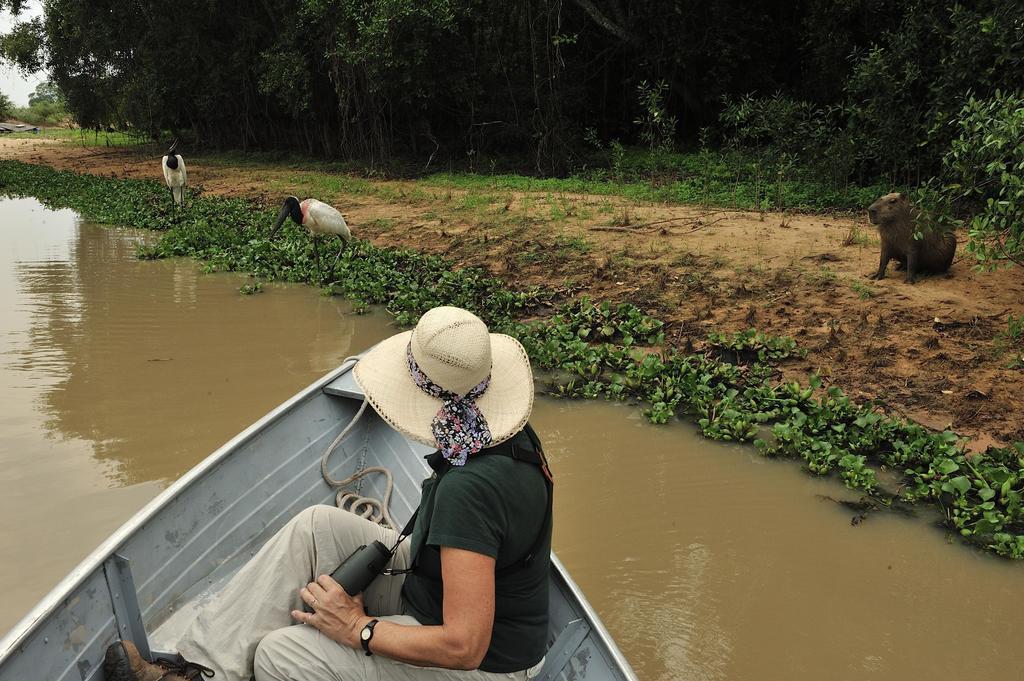 Pixaim Southwild Pantanal Lodge מראה חיצוני תמונה
