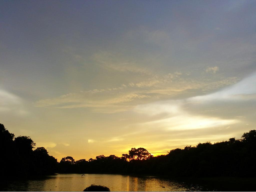 Pixaim Southwild Pantanal Lodge מראה חיצוני תמונה