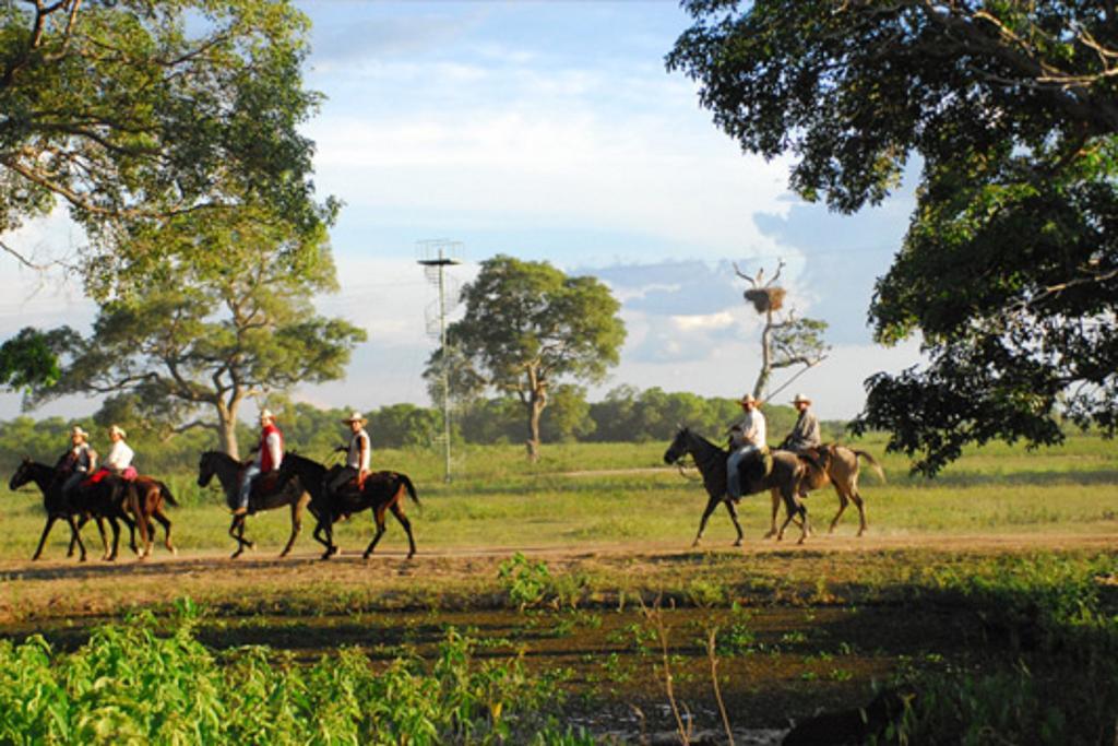 Pixaim Southwild Pantanal Lodge מראה חיצוני תמונה