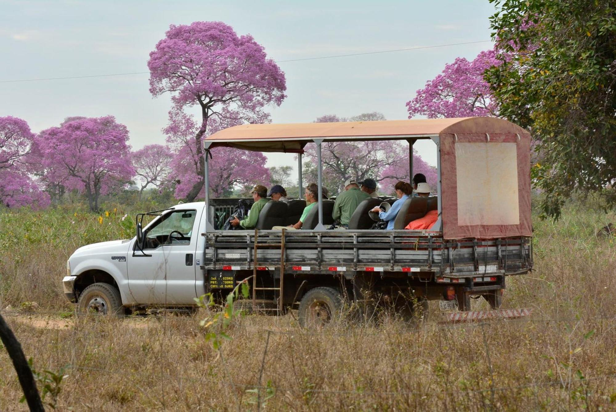 Pixaim Southwild Pantanal Lodge מראה חיצוני תמונה
