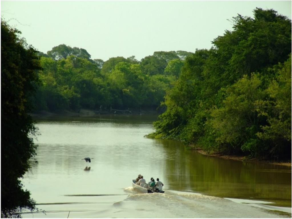 Pixaim Southwild Pantanal Lodge מראה חיצוני תמונה